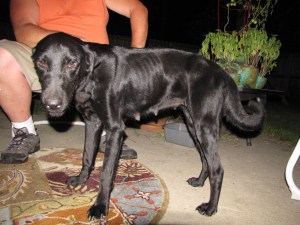 The day we found her.