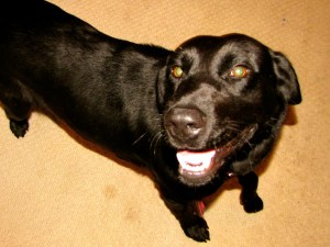 5 months after rescue